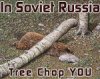 SS in soviet russia 4.jpg